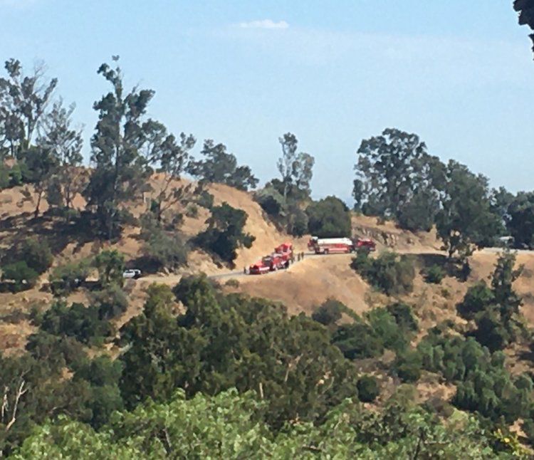 Rescue in Elysian Park